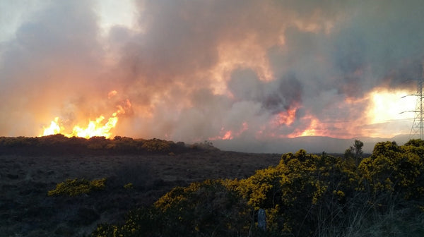 Managing Pools During Regional Wildfires