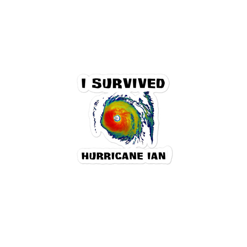 I Survived Hurricane Ian Bubble-Free Stickers