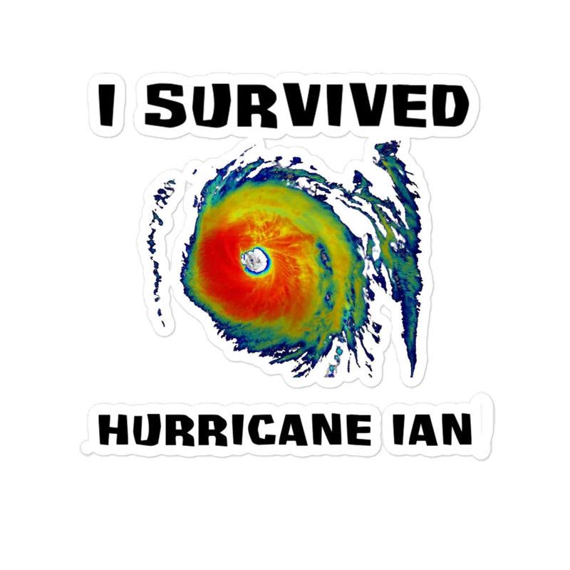 I Survived Hurricane Ian Bubble-Free Stickers